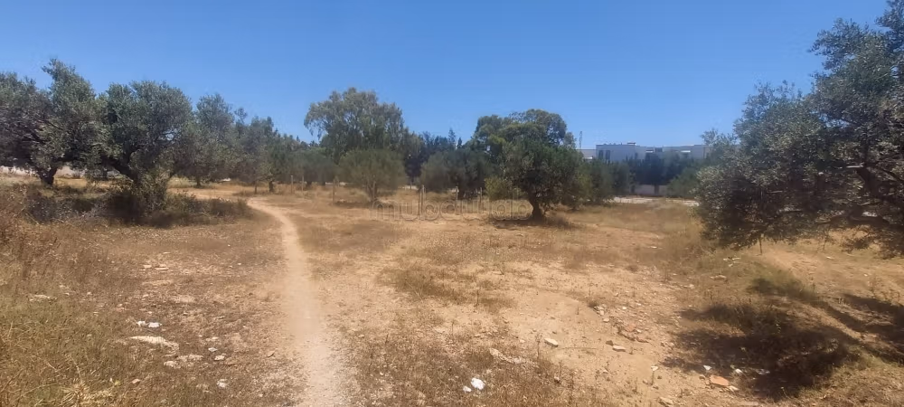 A Vendre Terrain 650M2 Yasmine Hammamet