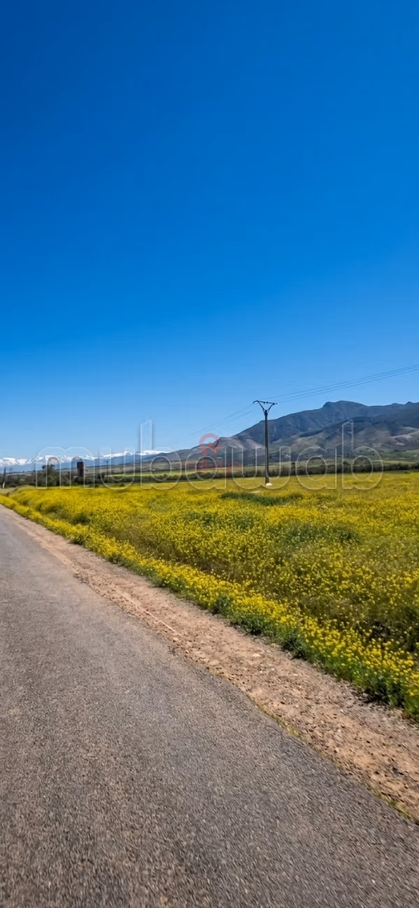 Vendita di terreno nudo sulla strada di Amezmiz