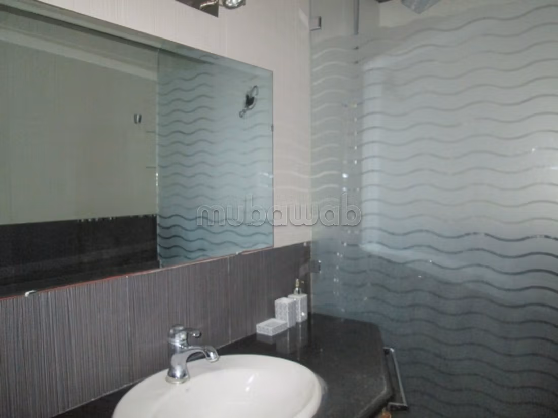 Furnished apartment for rent in PALMIER