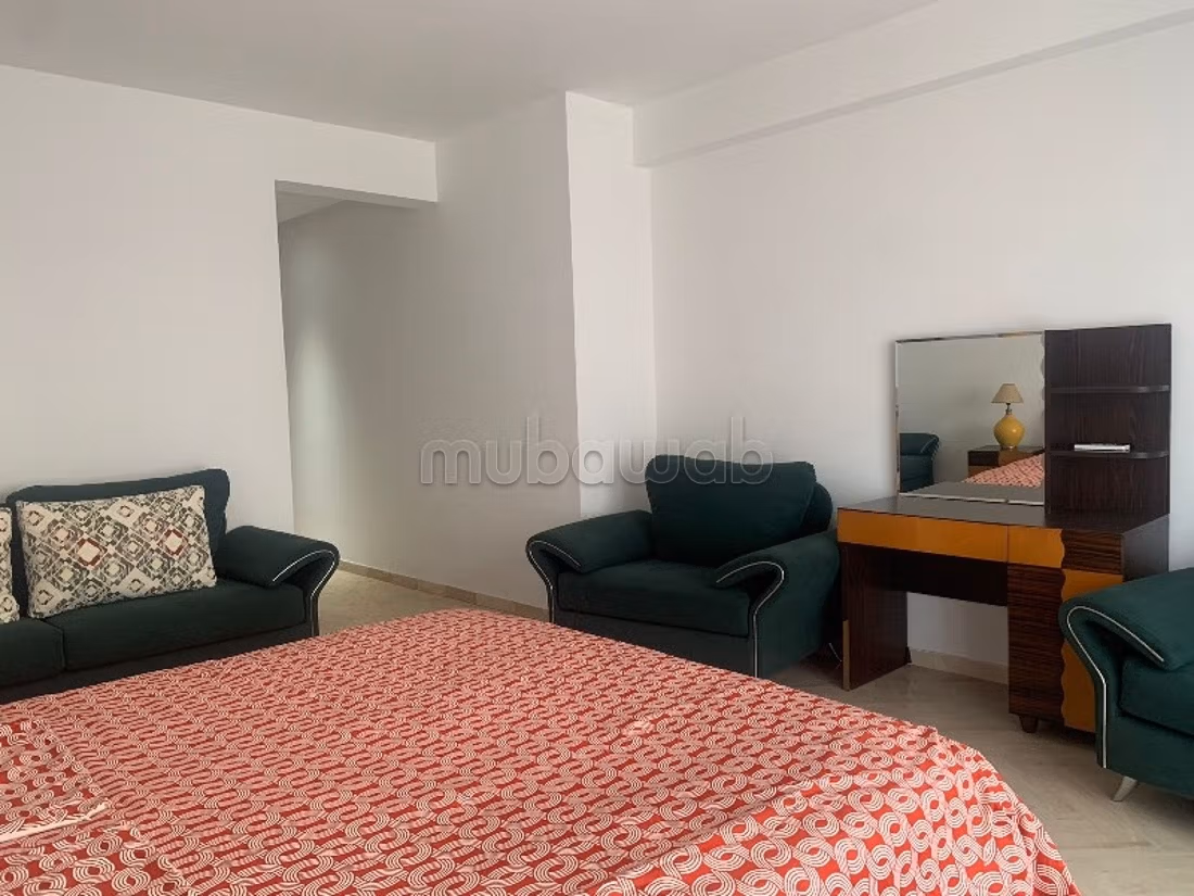 Furnished apartment for rent in PALMIER