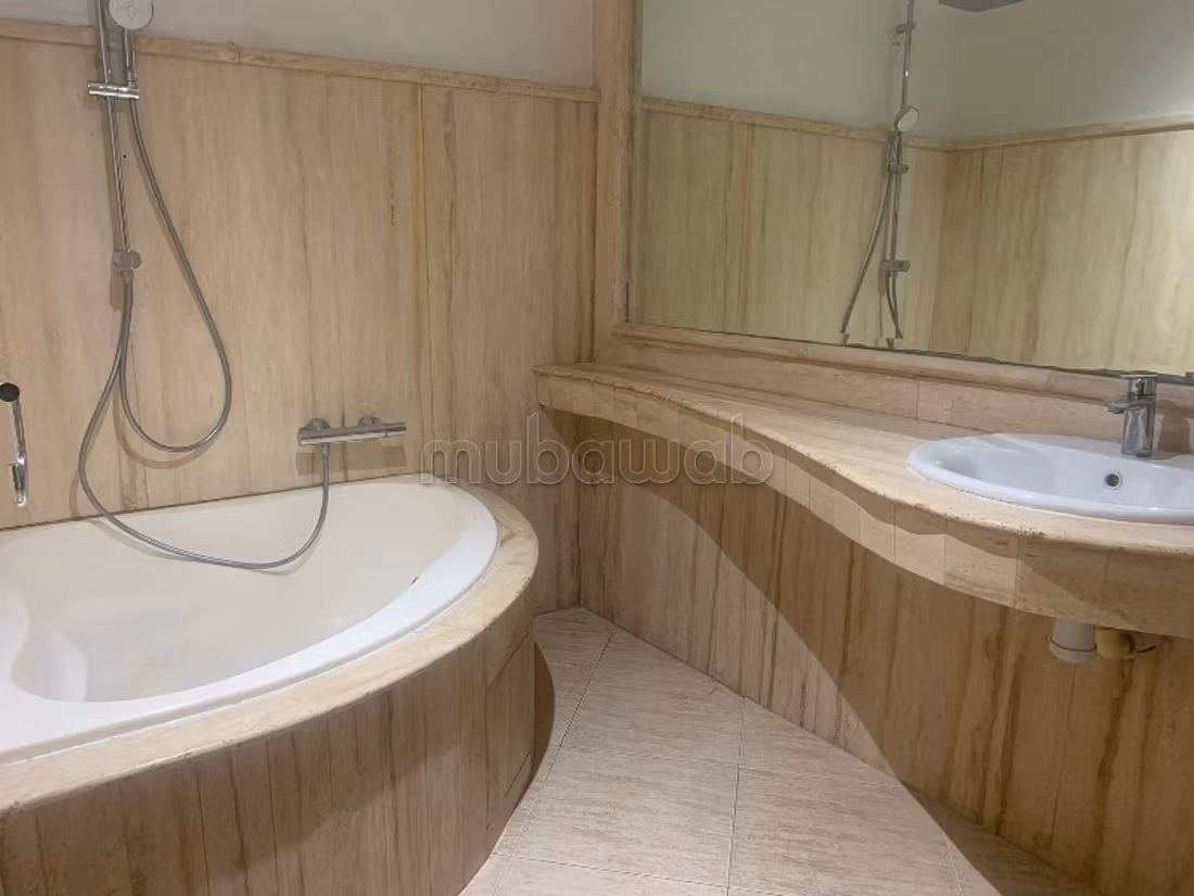 Furnished apartment for rent in PALMIER