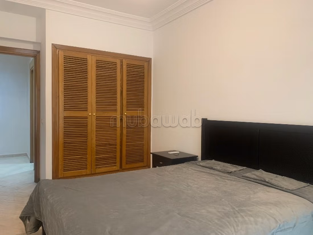Furnished apartment for rent in PALMIER