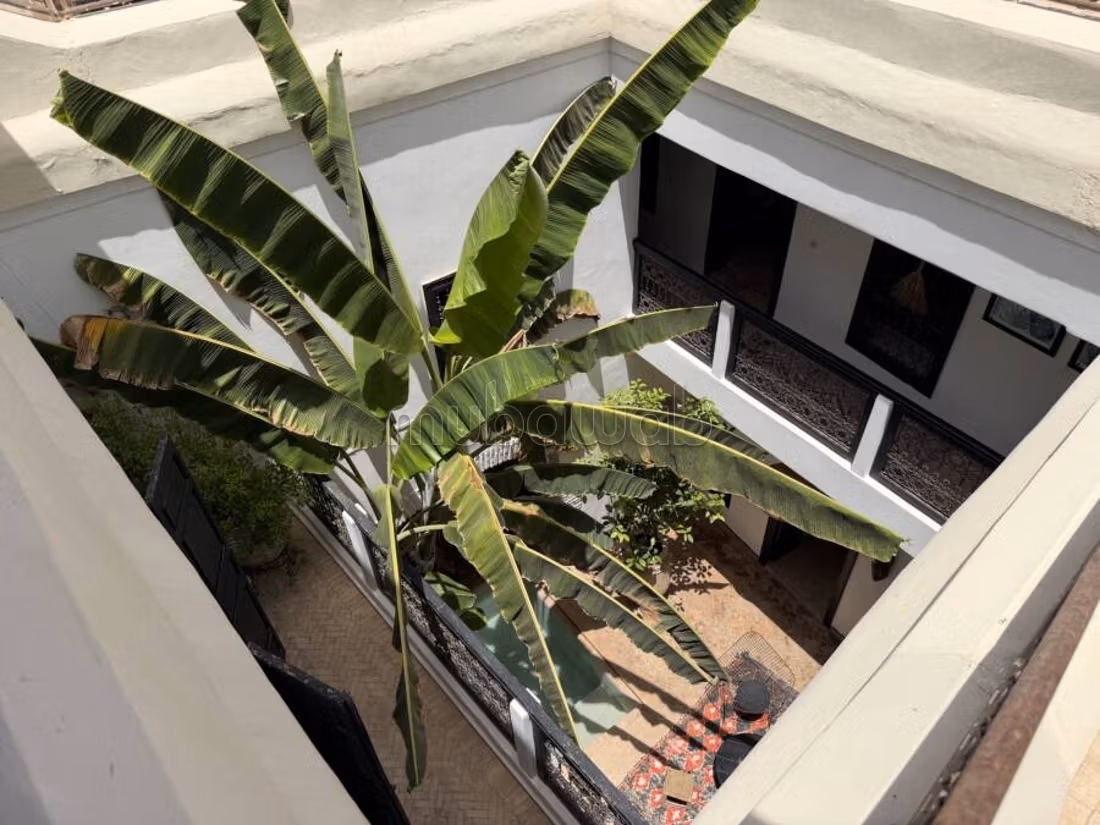 Riad traditionnel au cœur de la médina 4 chambres