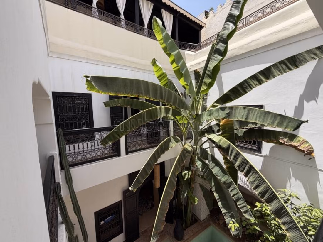 Riad traditionnel au cœur de la médina 4 chambres