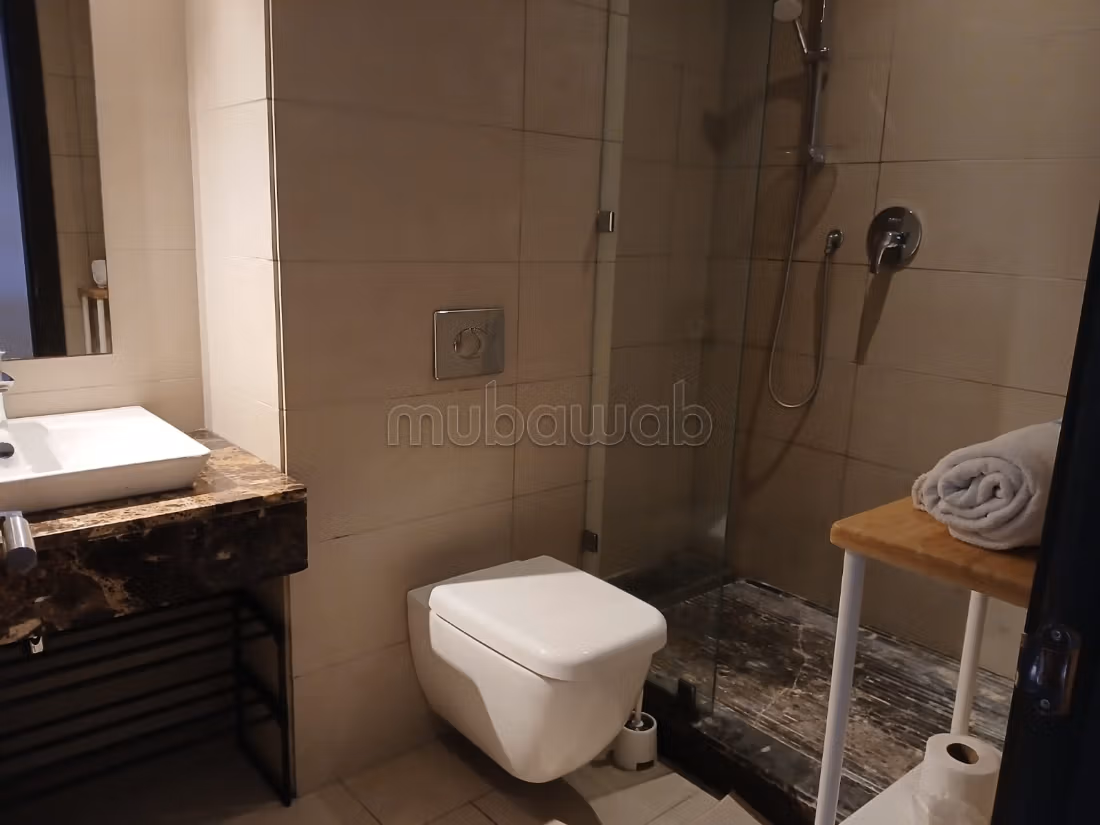 High-end furnished apartment