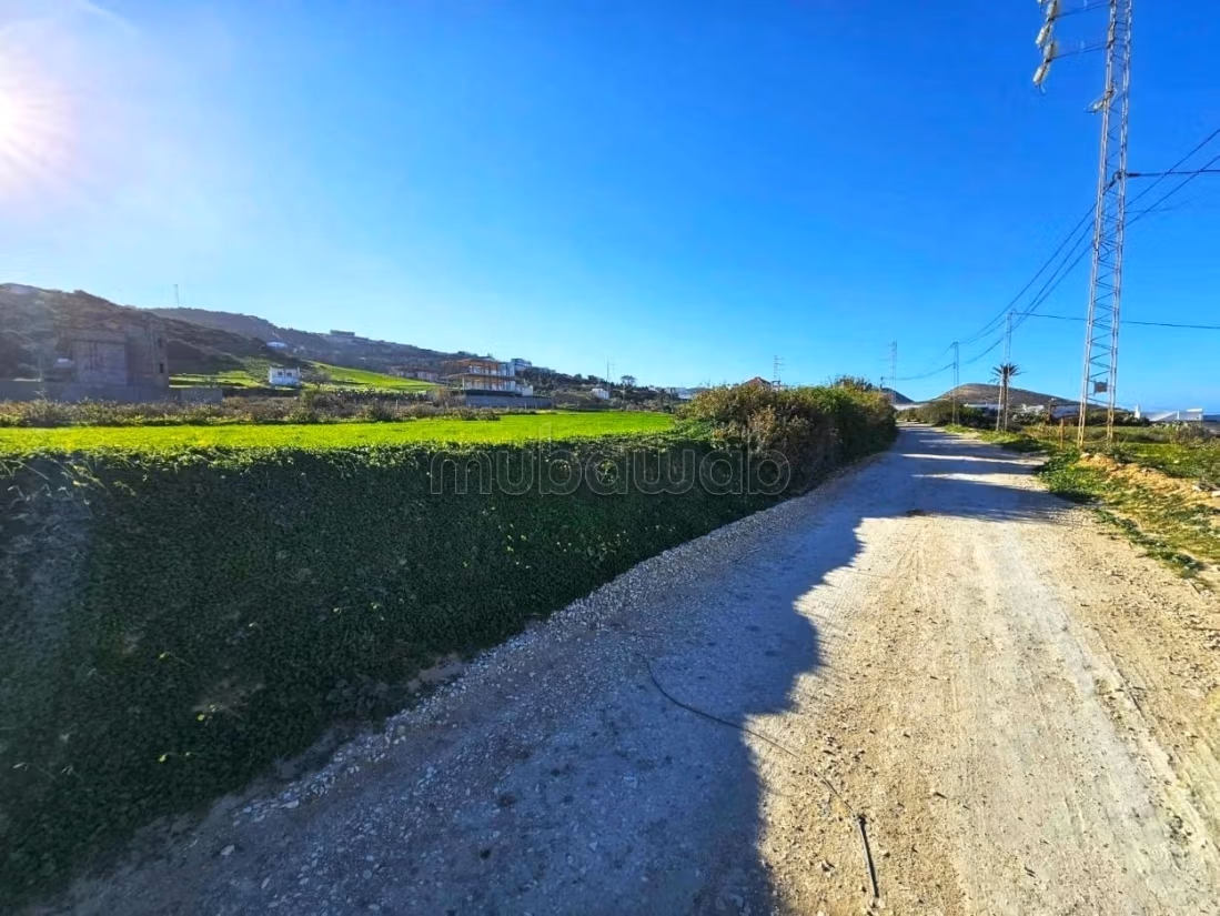 Terreno 140 m² – Aïn Mestir, Rafraf