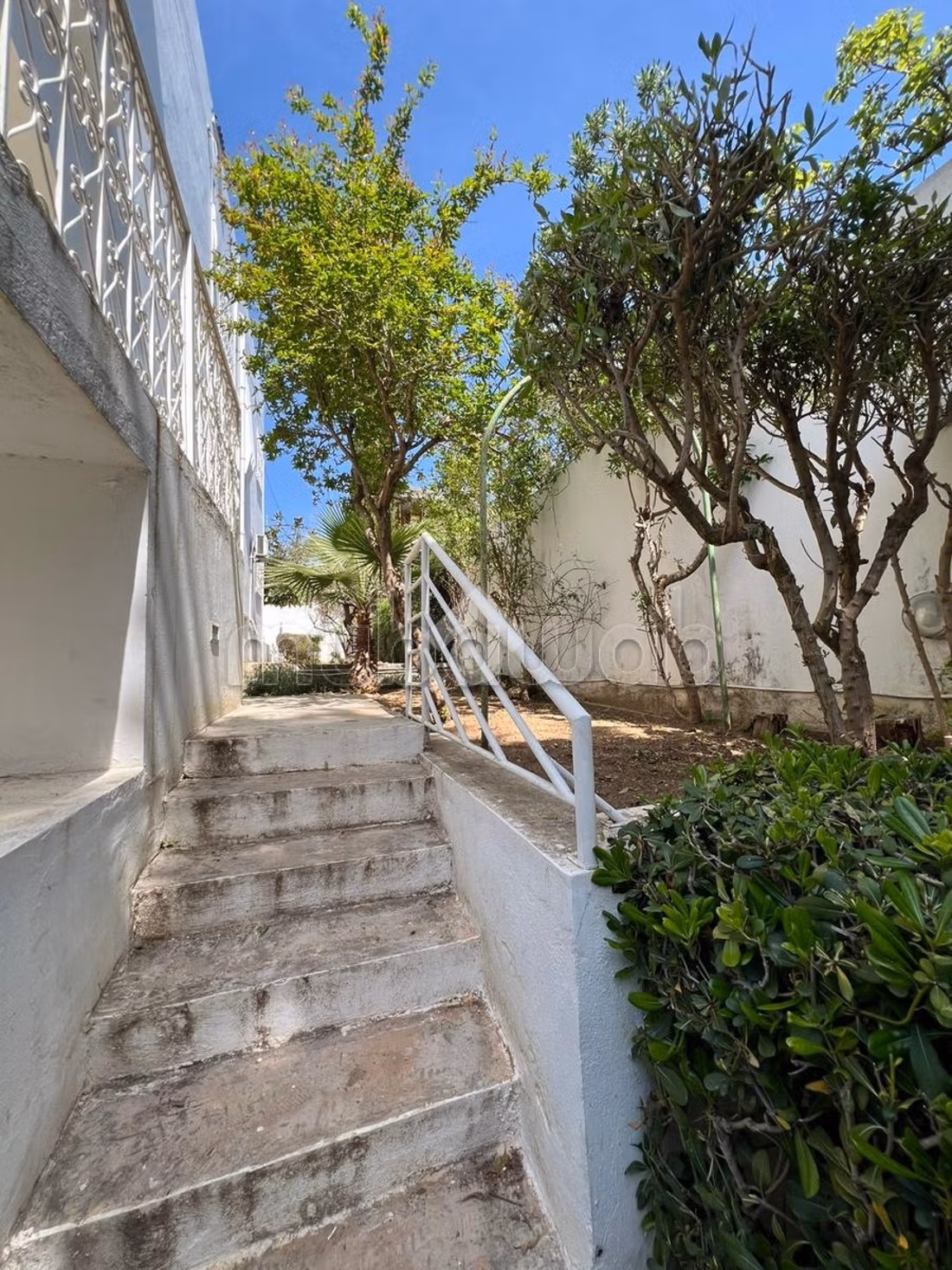 Villa individuale in affitto