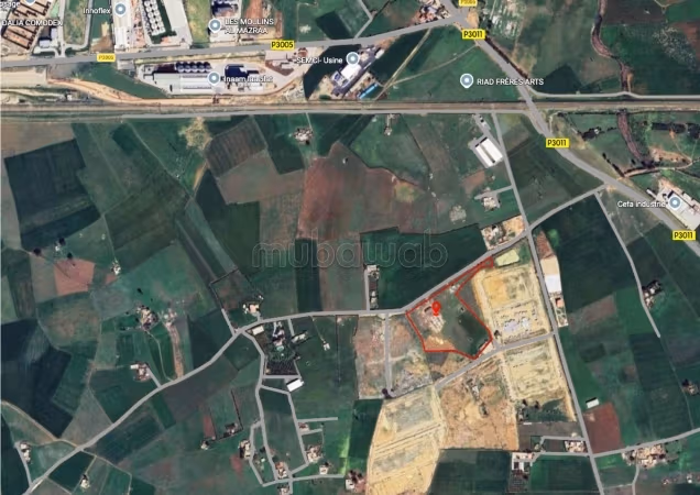 Sitio industrial y logístico de 4 hectáreas
