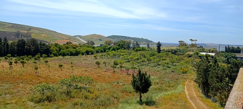 Terrain d'exception à vendre lixus larache