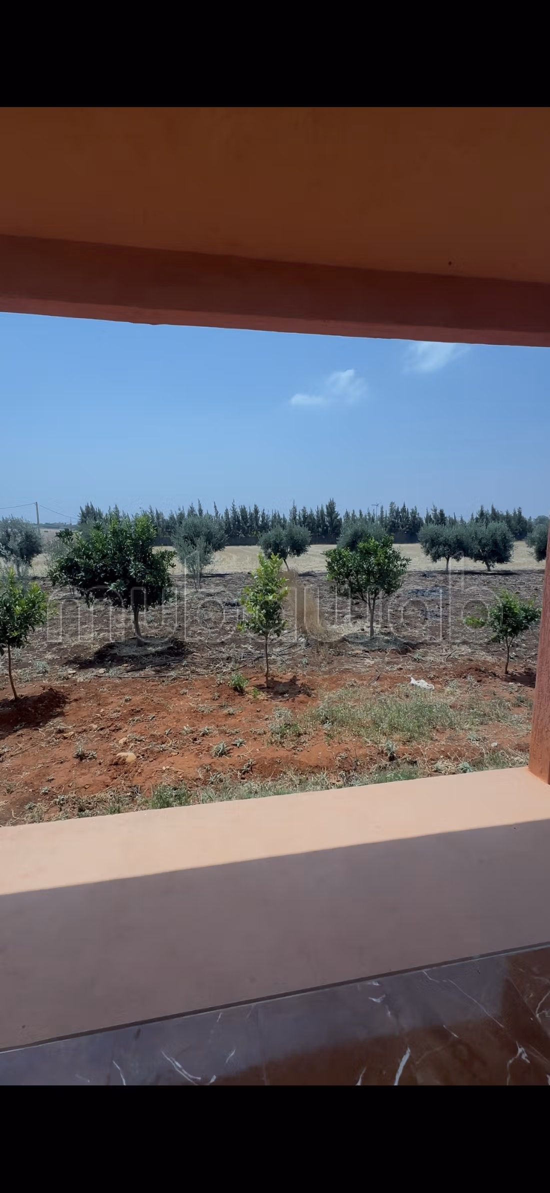 Granja en venta