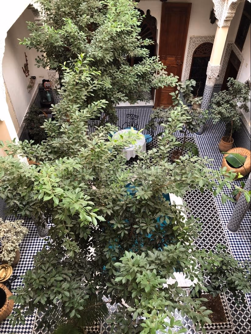 Riad naar Batha, Fes, gastenhuis