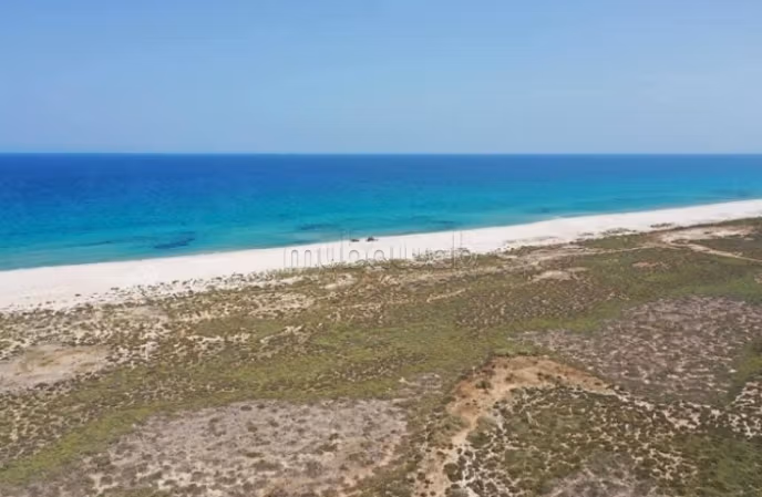 Vente terrain. Surface totale 1000 m²