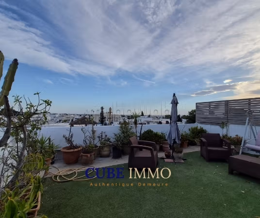 Furnished apartment with a clear view terrace