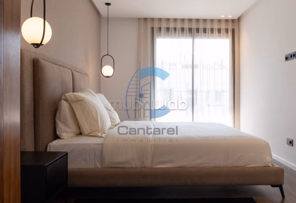 Location manifique appartement palmier