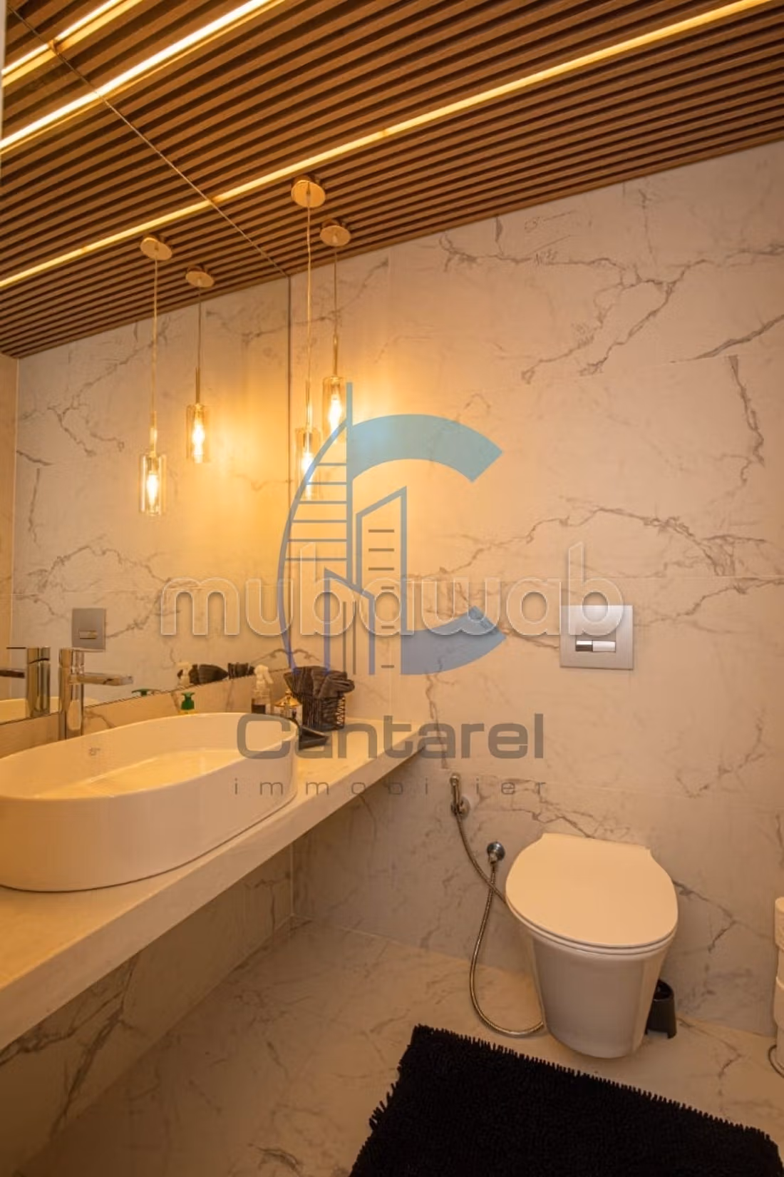 Location manifique appartement palmier