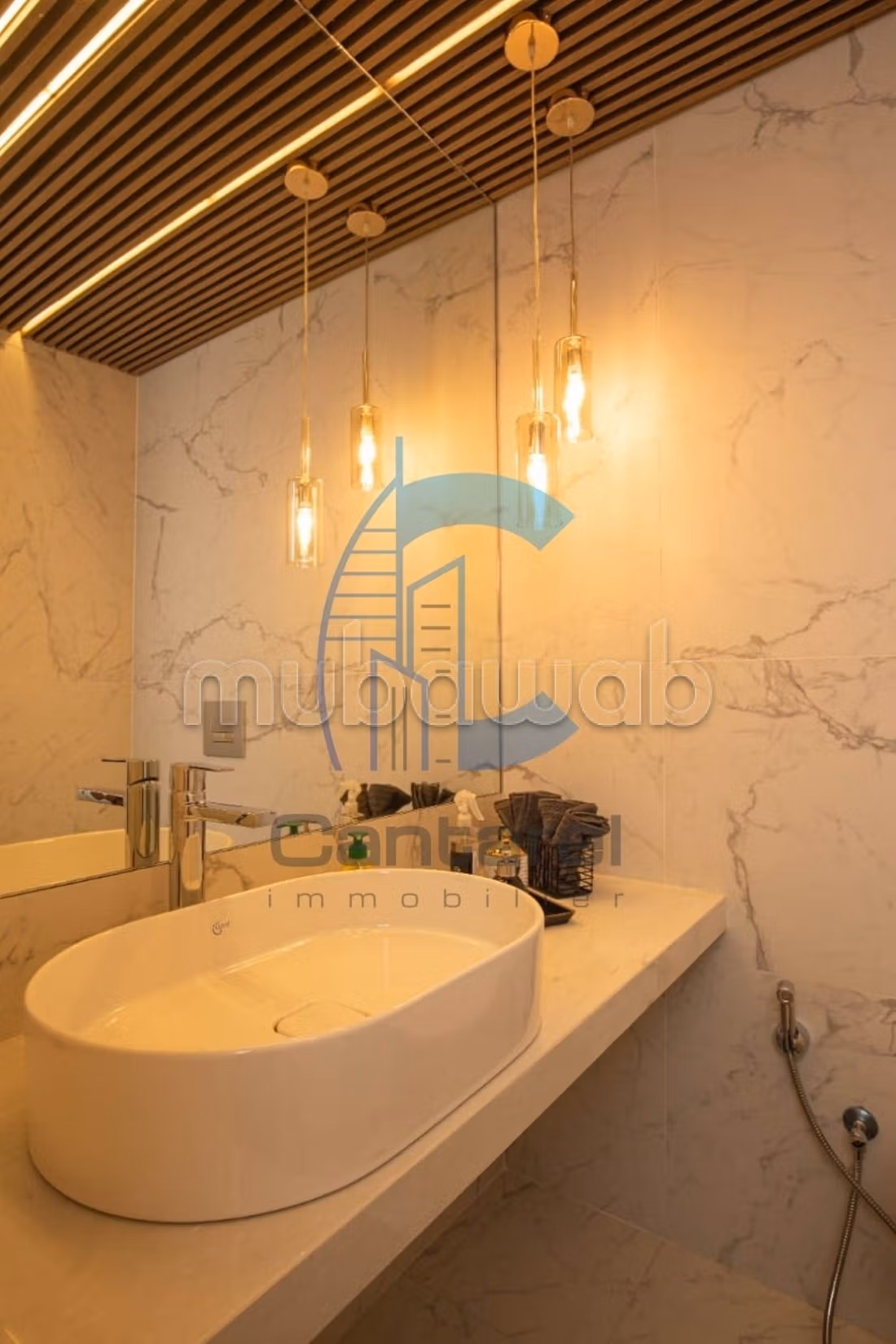Location manifique appartement palmier