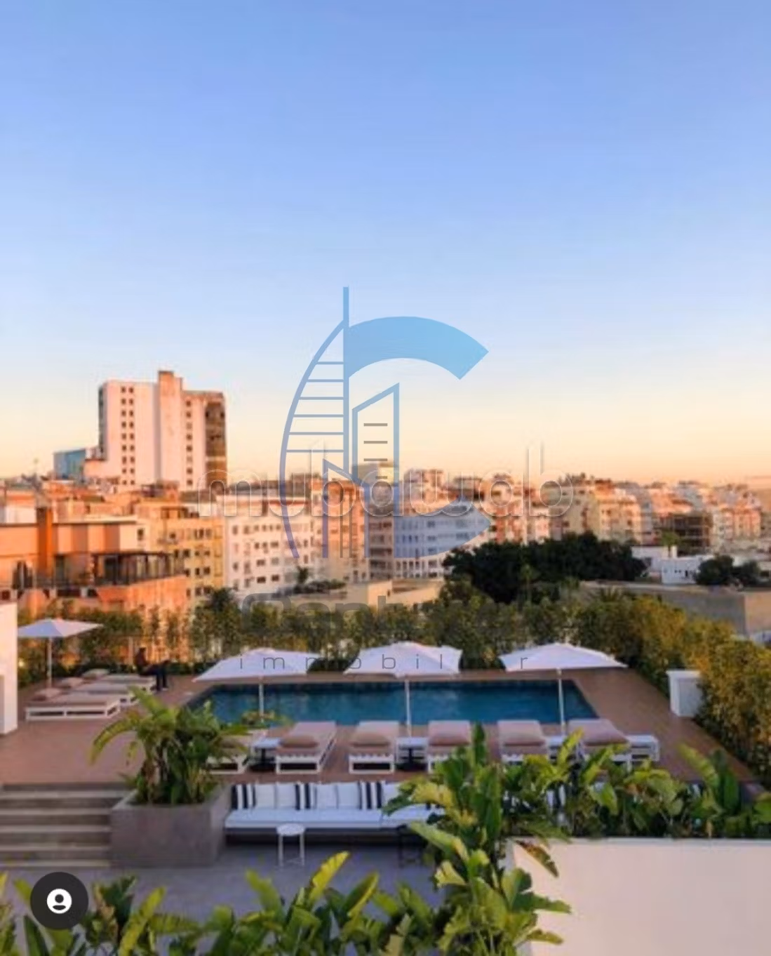Location manifique appartement palmier
