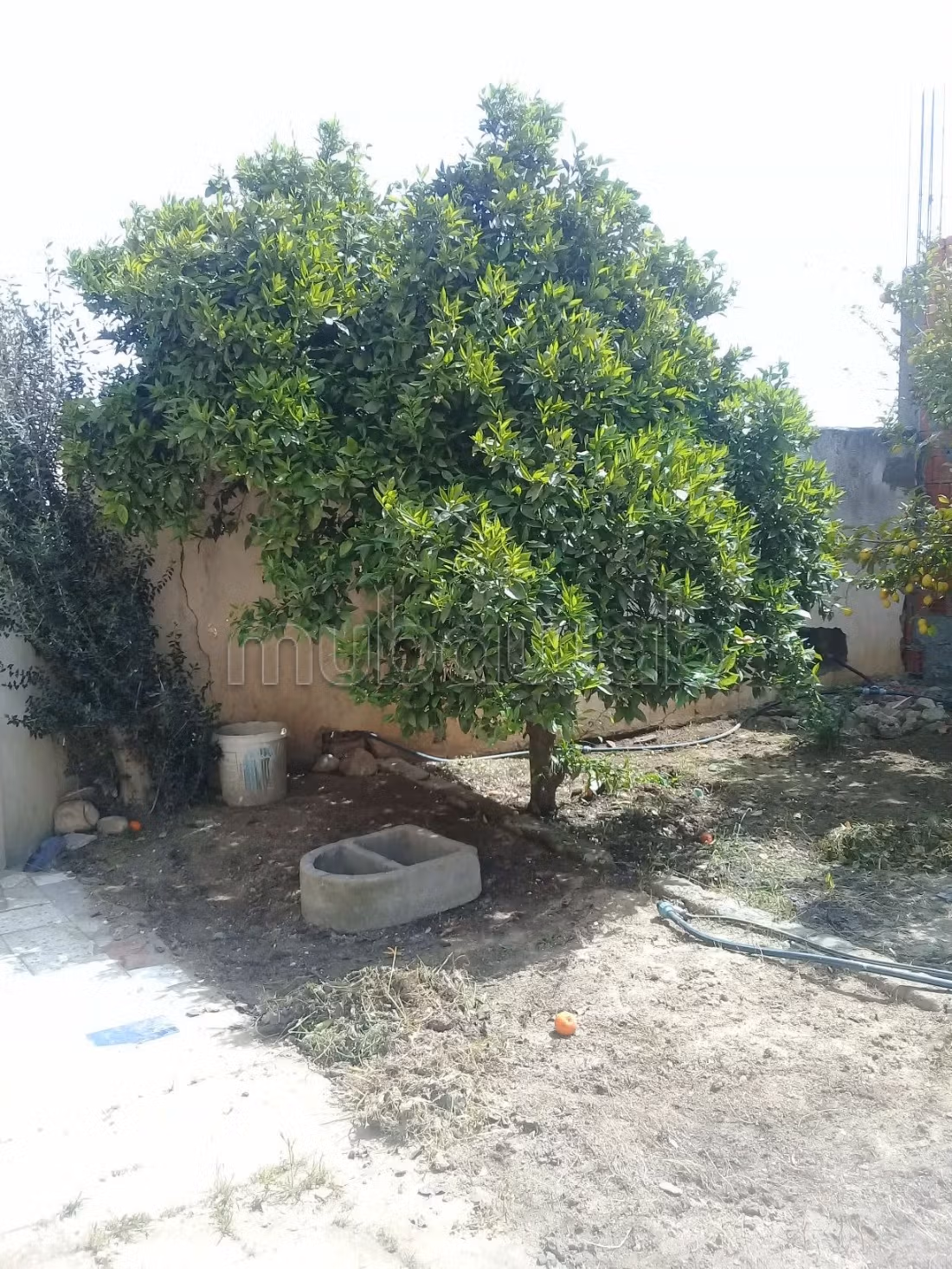 Casa in vendita a Romani