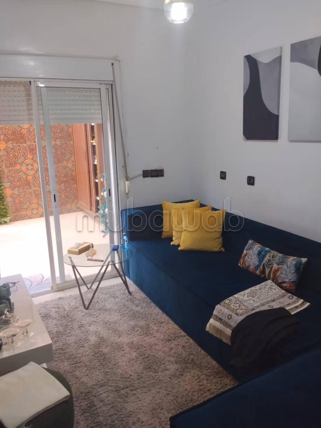 Large bright apartment