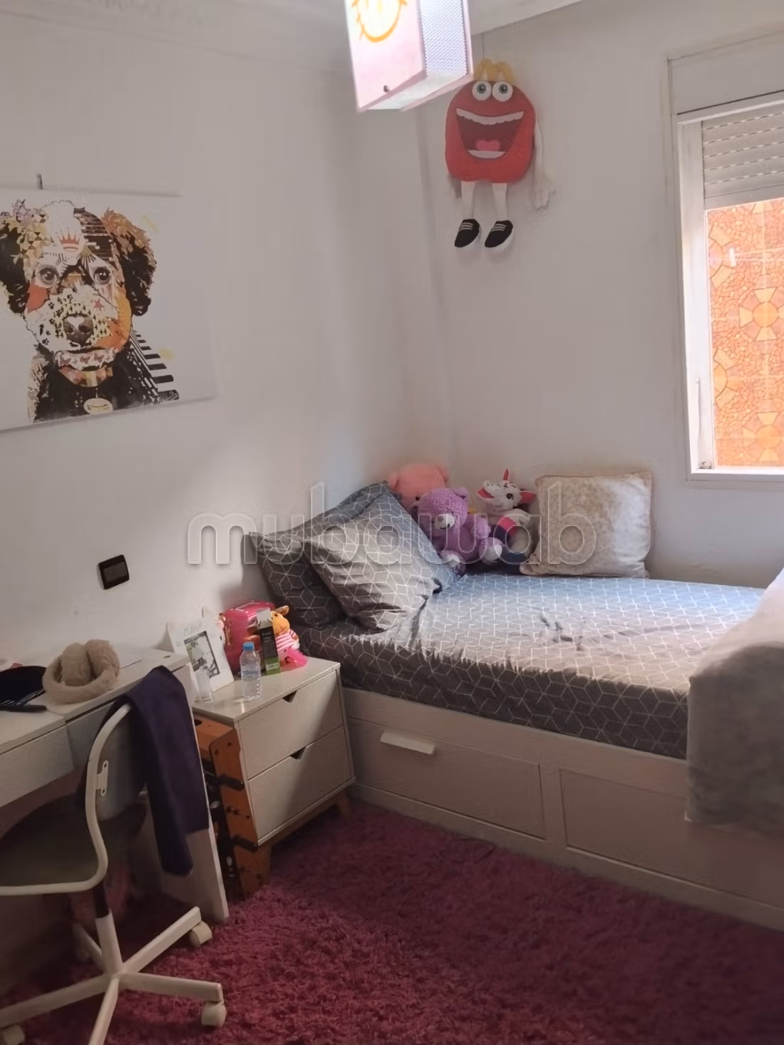 Large bright apartment