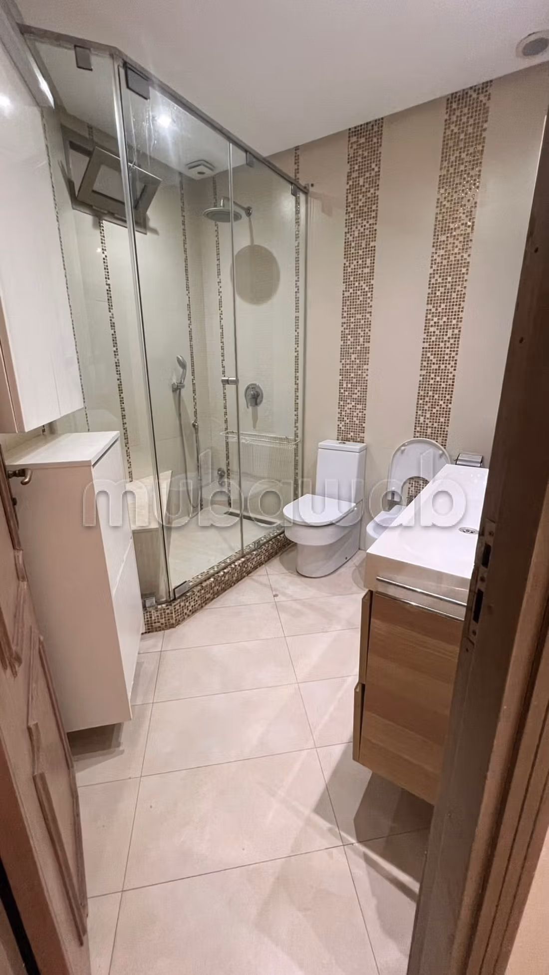 Appartement 242 m² à Les Hôpitaux — 12