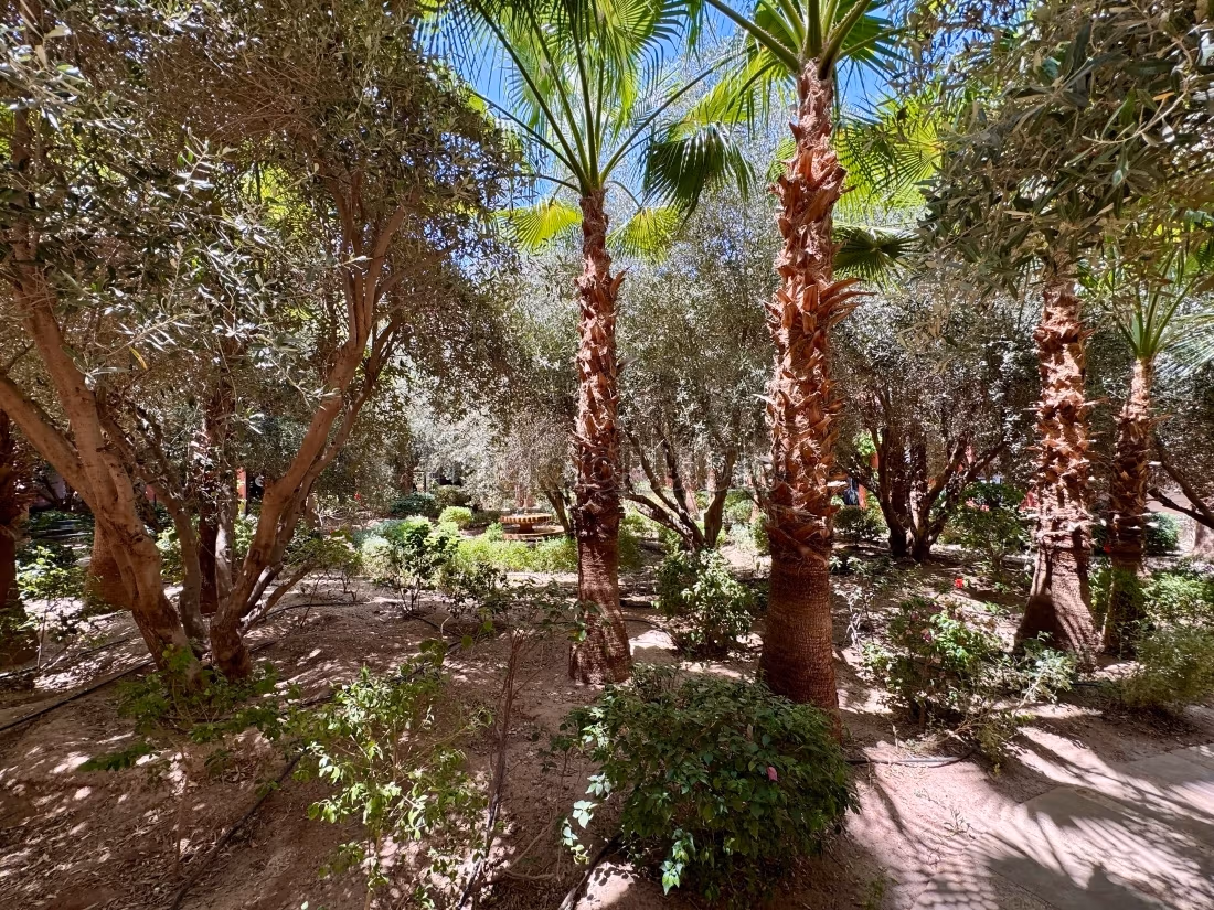 Appartement 72 m² à Route Casablanca — 10