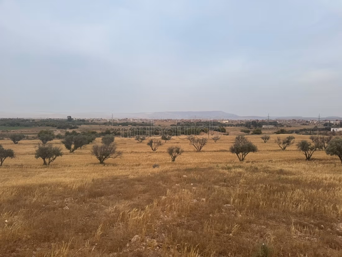 Vente de terrain à Riad isli.
Surface totale 65820 m²