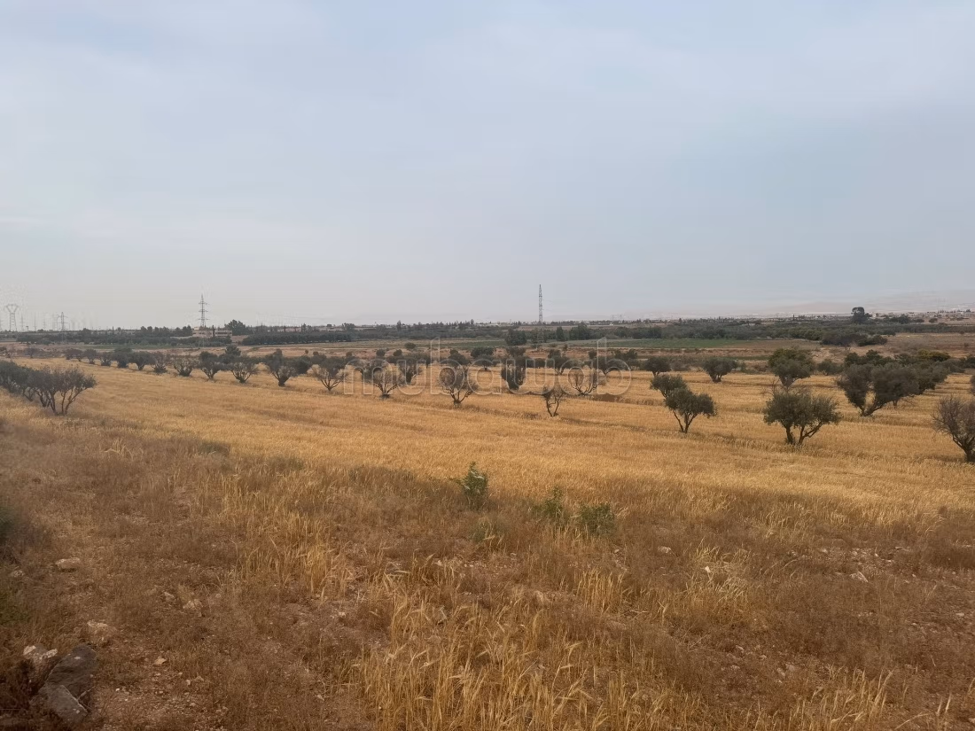Vente de terrain à Riad isli.
Surface totale 65820 m²