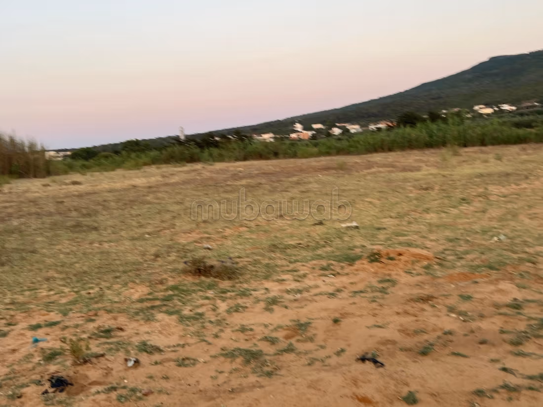 قريبة من الطريق والخدمات الأساسية.
وثائق قانونية ج