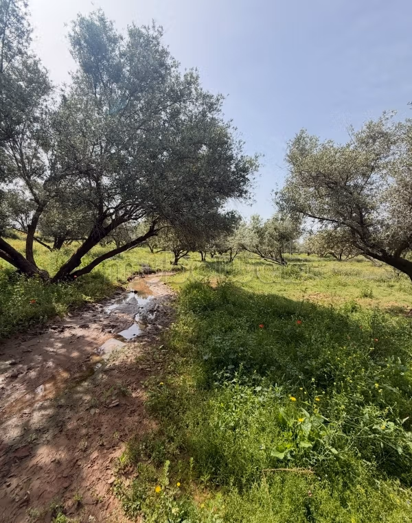 Terreno di lusso in vendita tra Marrakech e Ourika, a 25 km da Marrakech