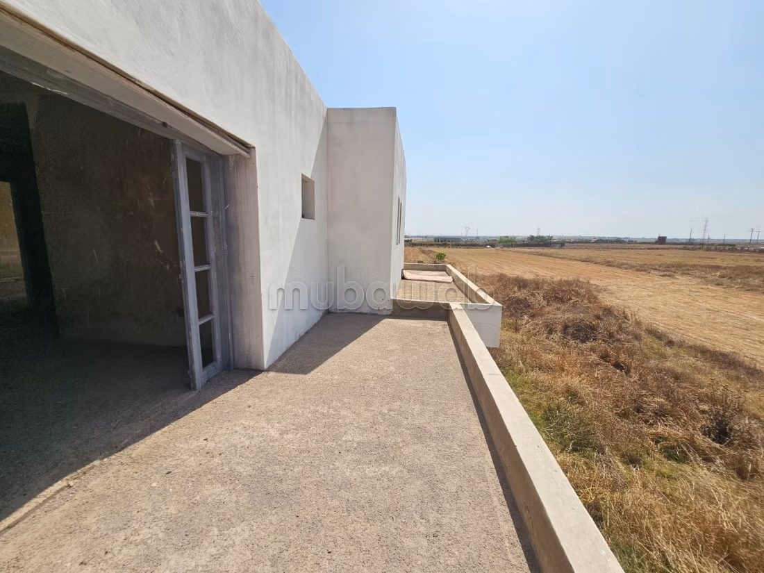 Zeer mooi landbouwgrond te koop in Benslimane
