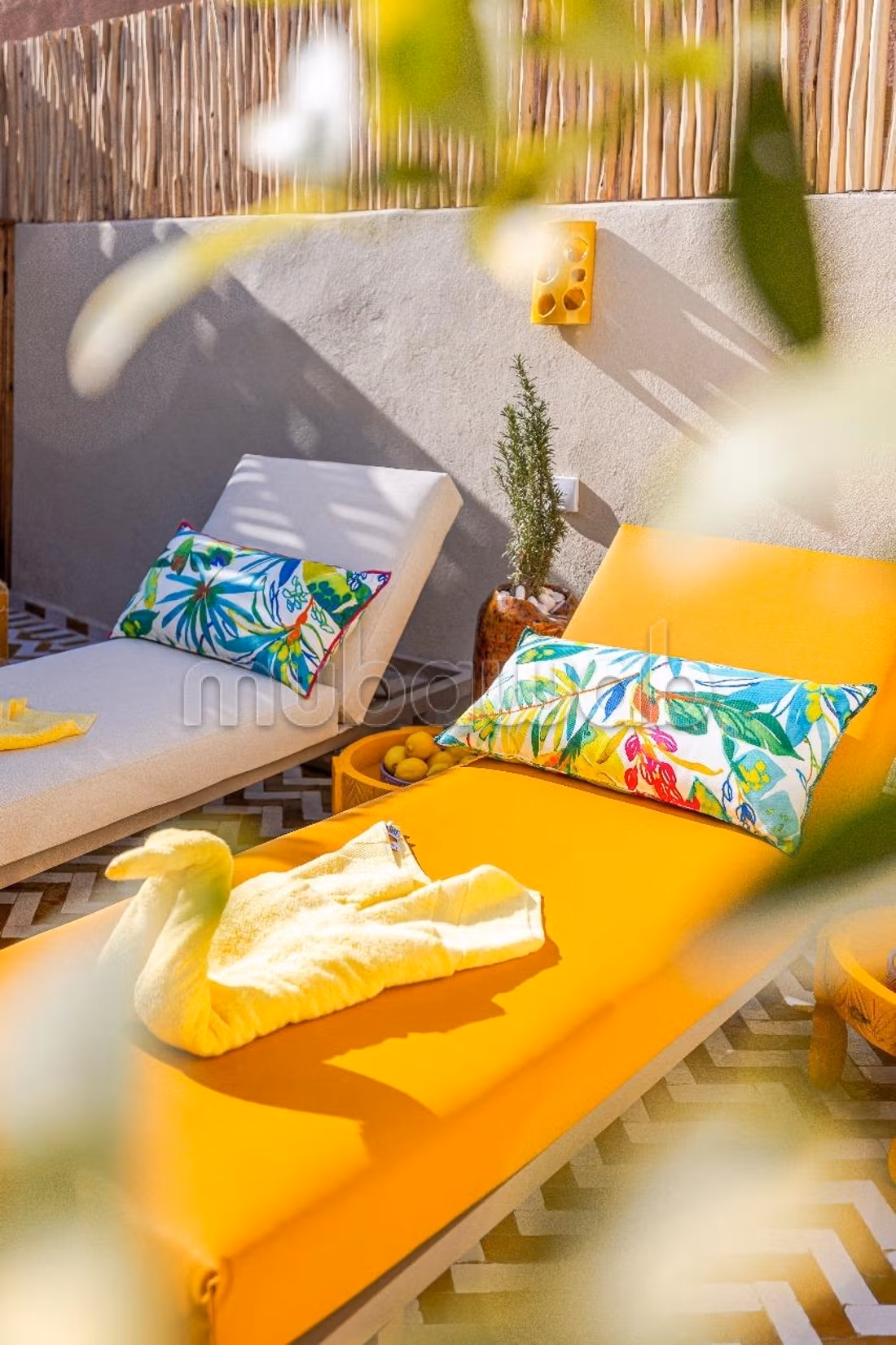 Riad titré 4 chambres exclusif moderne Riad Zitoun