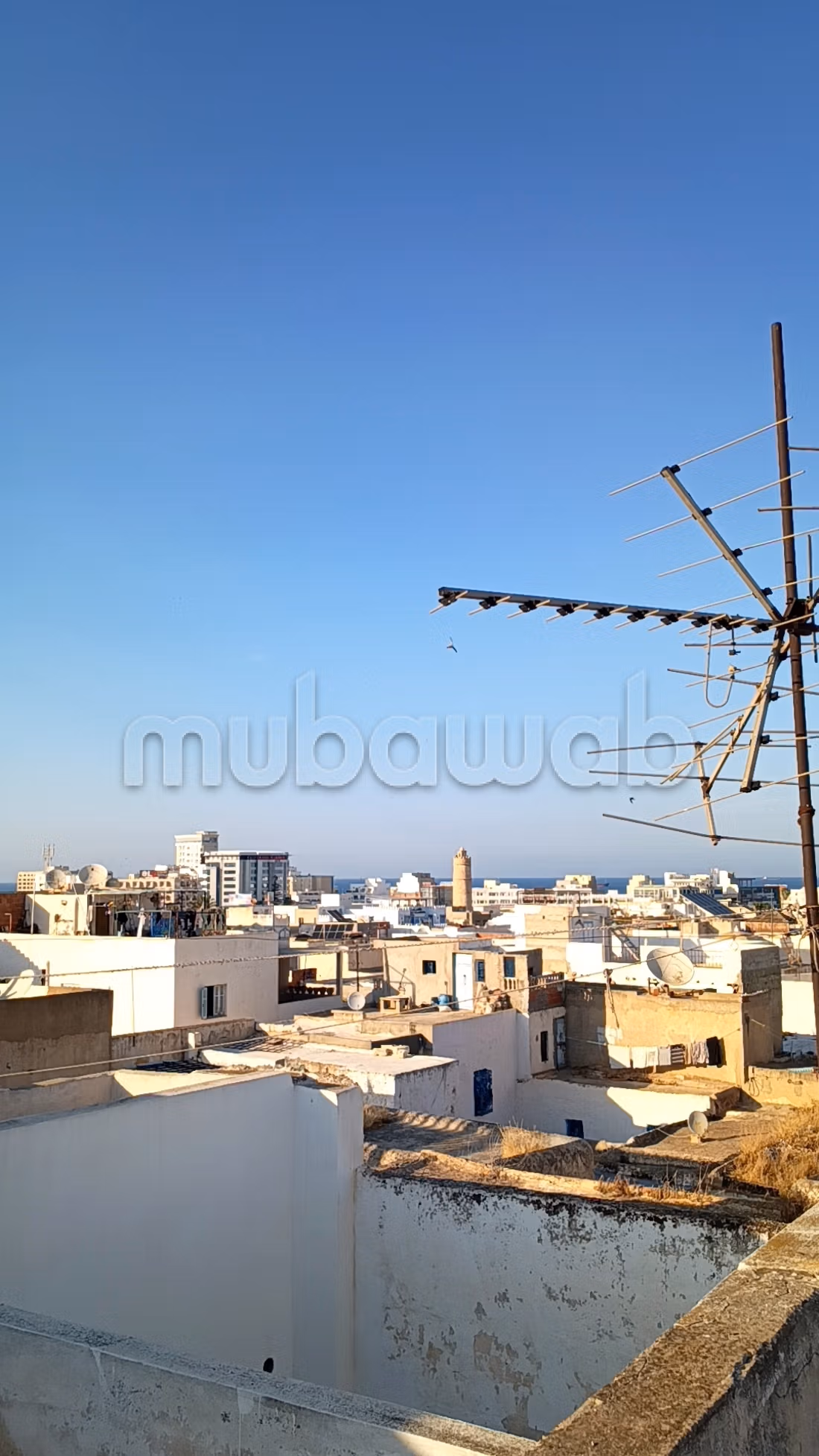 فرصة لبيت الضيافة