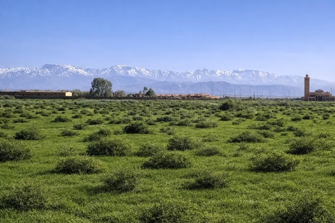 Bonito terreno en venta en la Ruta Amizmiz. Superficie 15600 m²