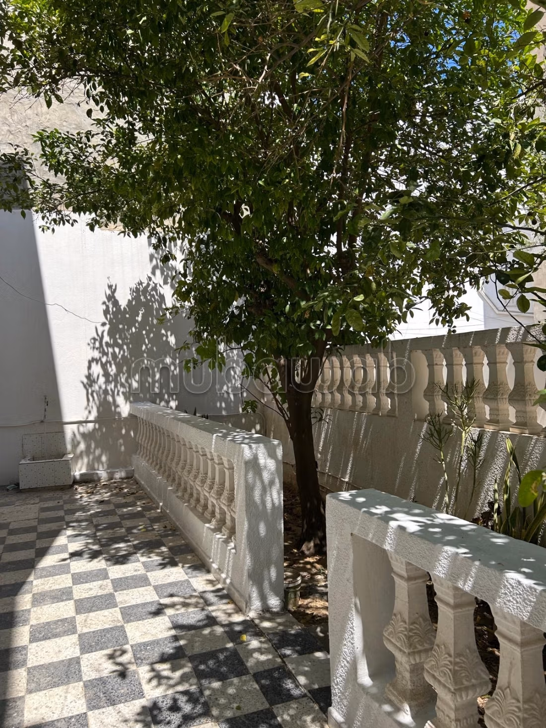 S3 à louer Monastir près de l'Hopital