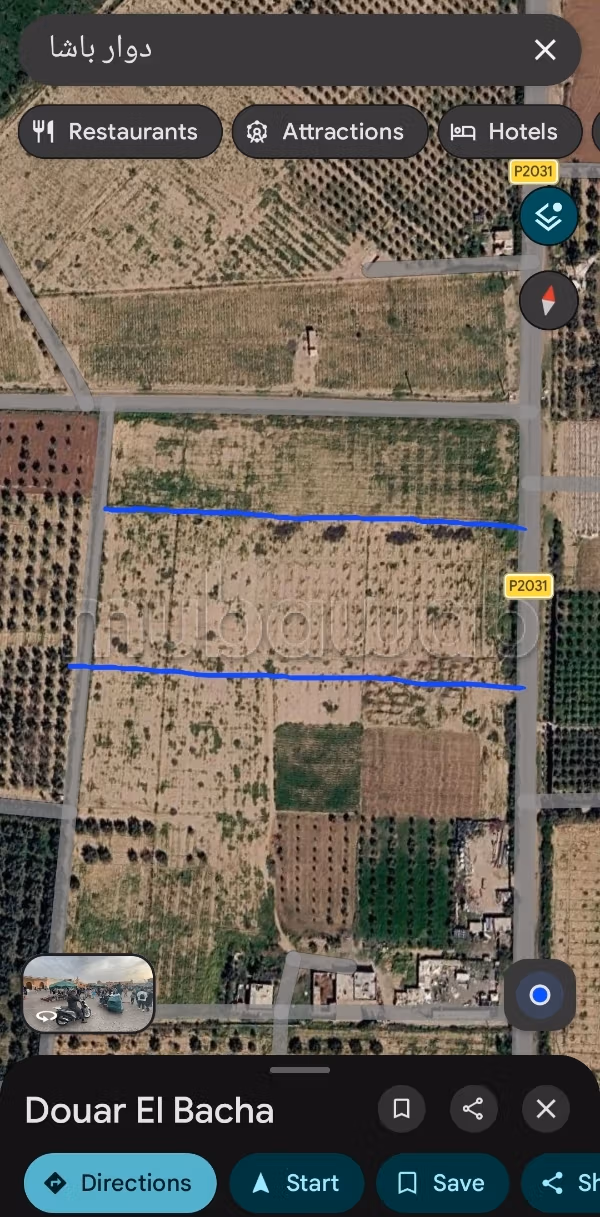Beautiful land for sale in the Saada community, Douar Pasha, along the Marrakech highway.
