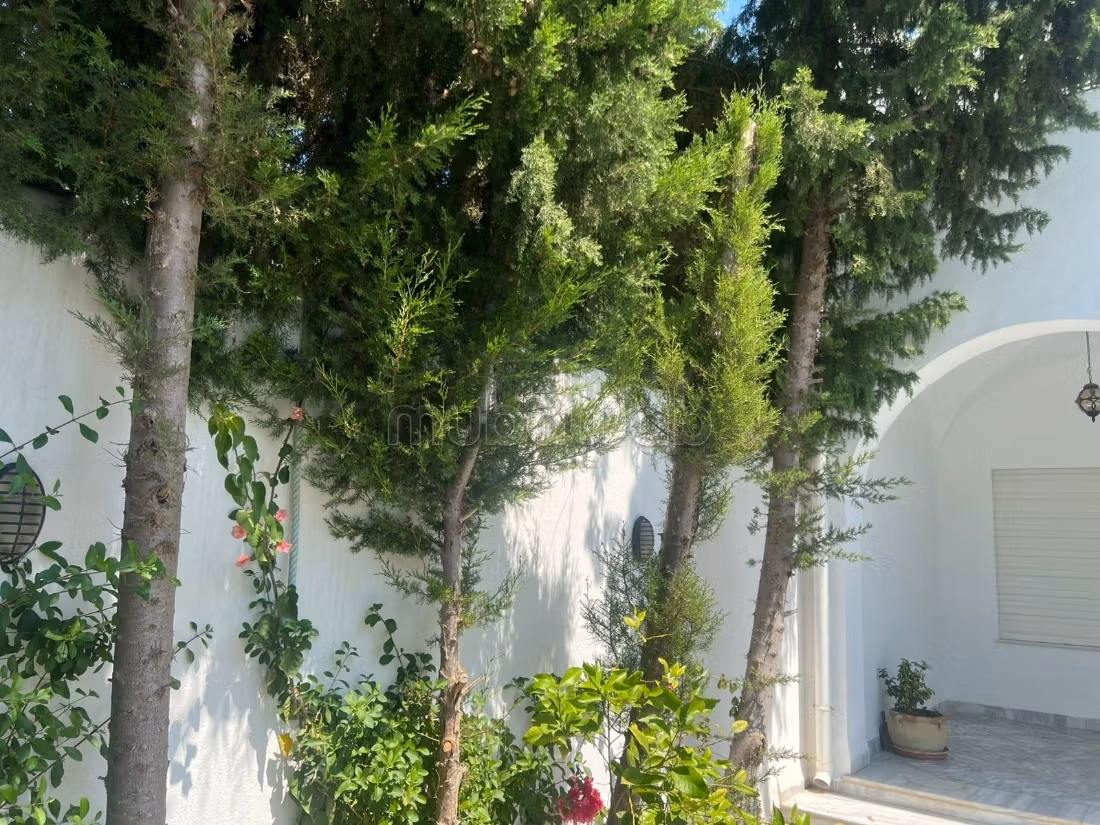 Villa moderna in vendita Teatro Hammamet