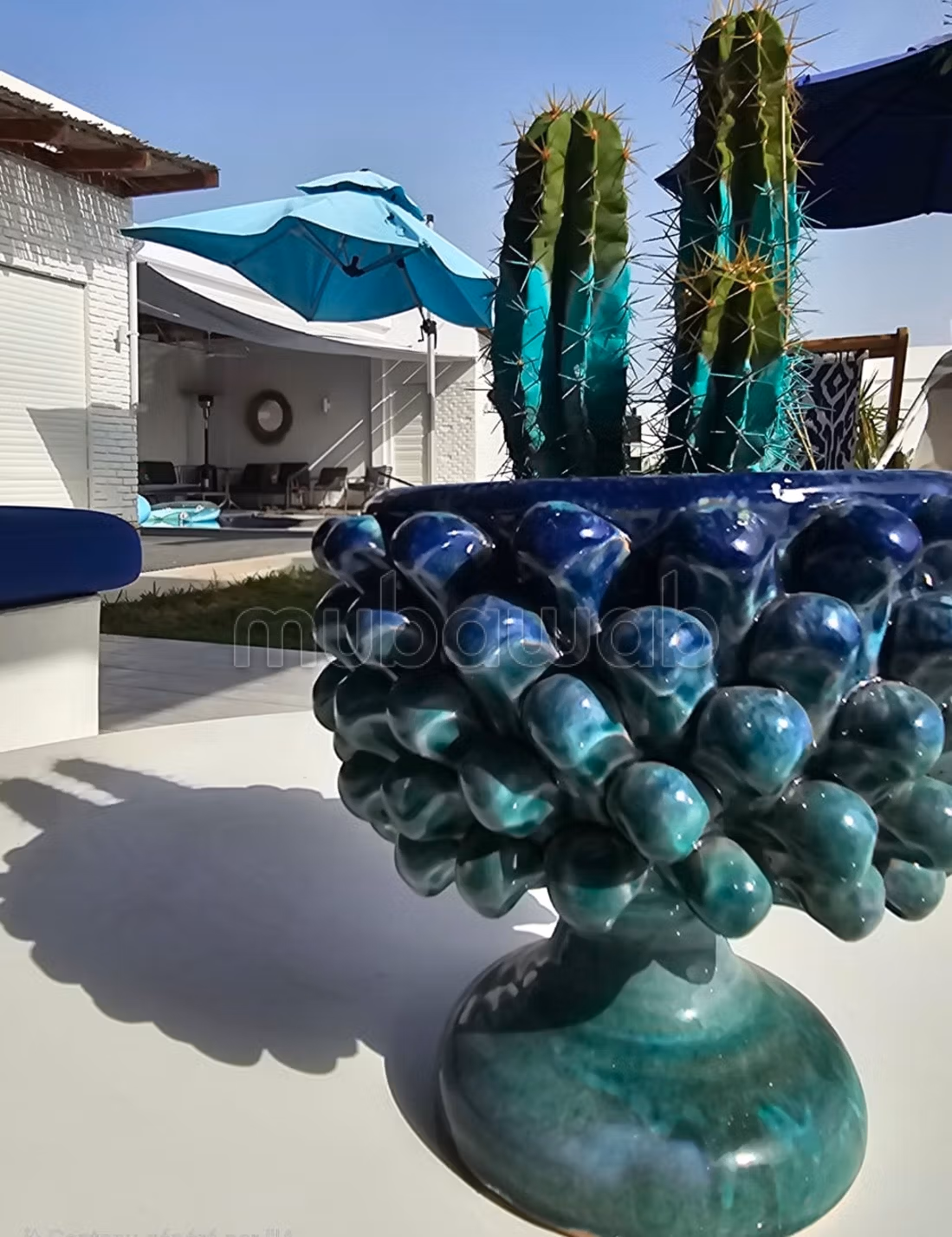 Invest where the Olive becomes Heritage