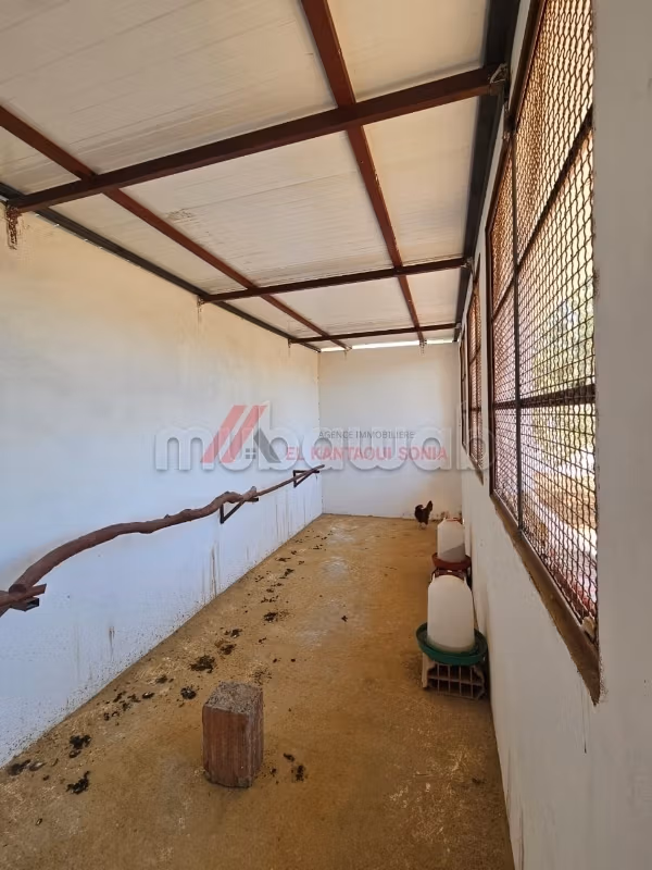 A vendre un lot de terrain à kalaa sghira