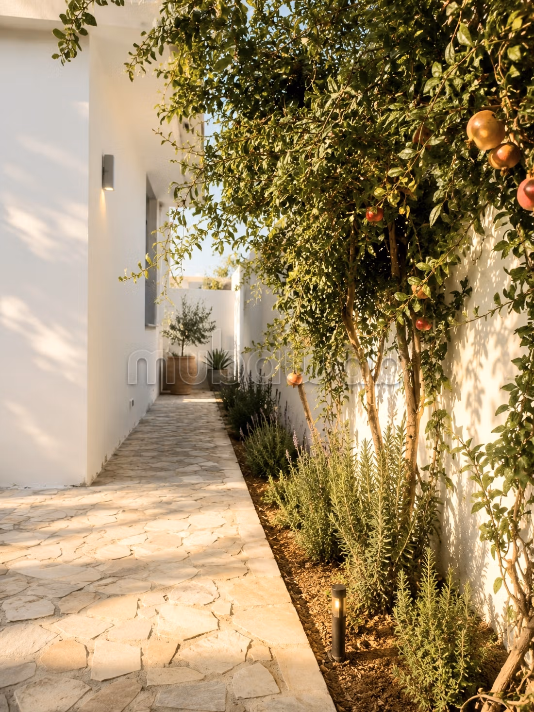 Appartement rdc s3 la marsa