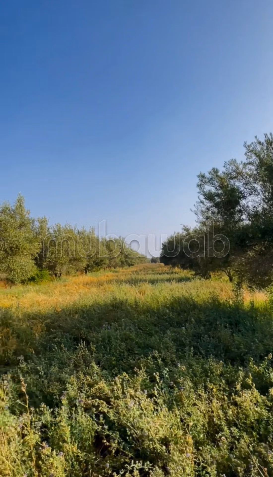 Granja en venta en El Kelâa des Sraghna. Superficie 25000 m². Residencia segura con una pequeña casa