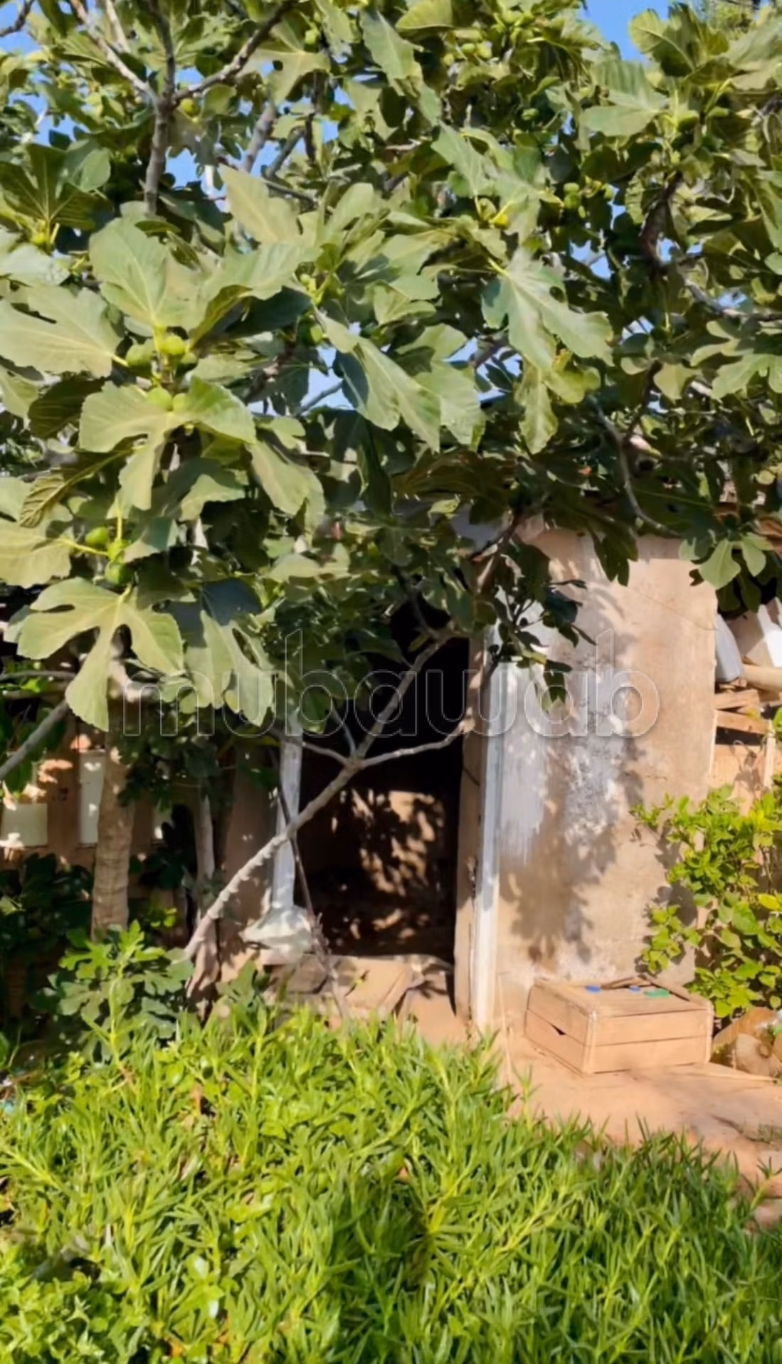 Granja en venta en El Kelâa des Sraghna. Superficie 25000 m². Residencia segura con una pequeña casa
