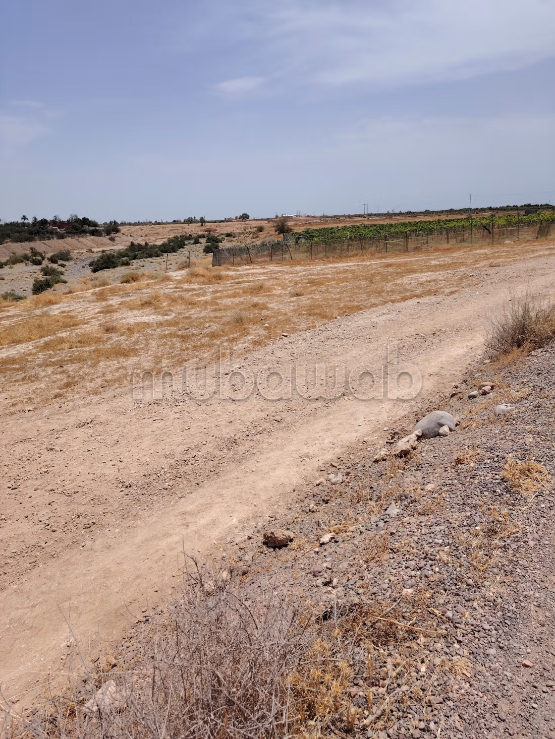 Vente de terrain à Route d'Agadir Essaouira. Surface de 4000 m²