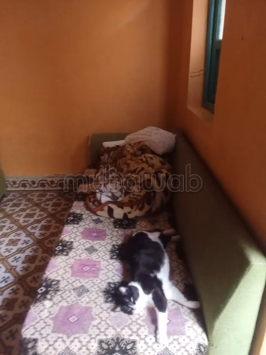 Baba Taghzout