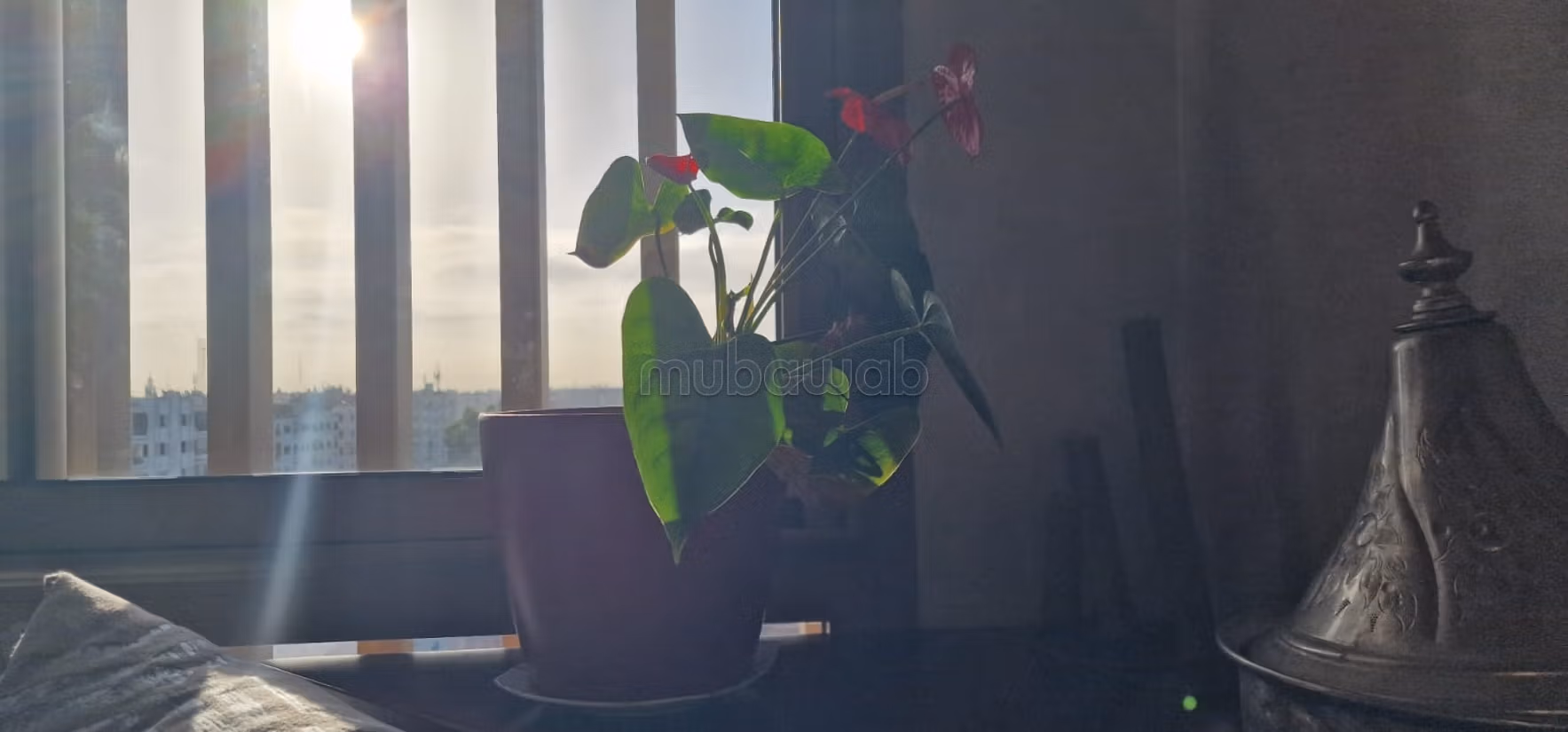 Appartement d'exception quartier hôpitaux