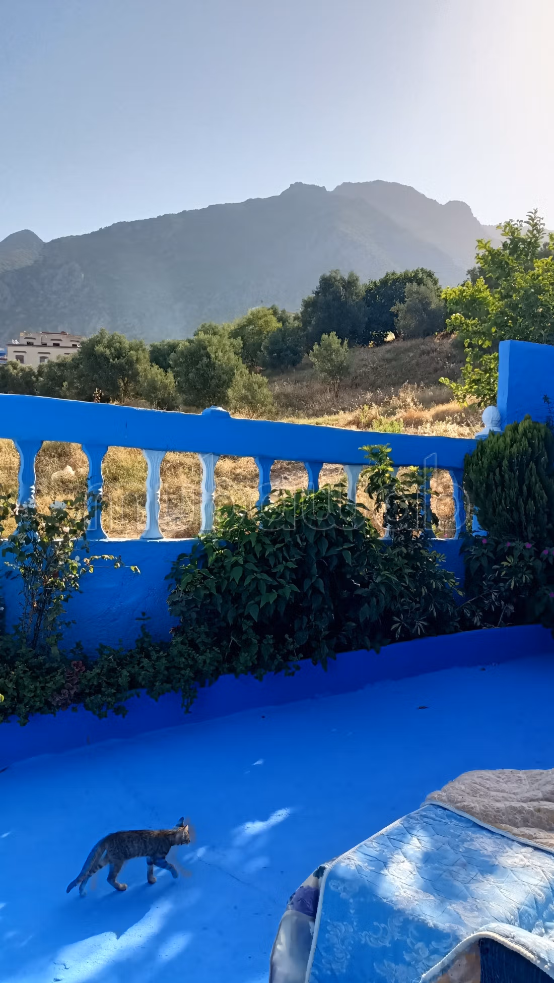 Appartamento in affitto a Chefchaouen. 2 camere accoglienti. Posti auto e un bel giardino