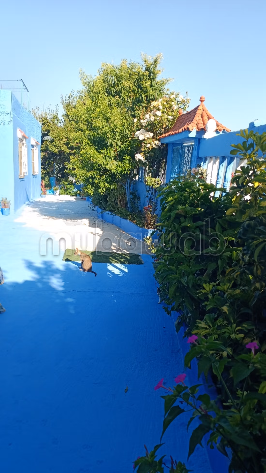 Appartamento in affitto a Chefchaouen. 2 camere accoglienti. Posti auto e un bel giardino