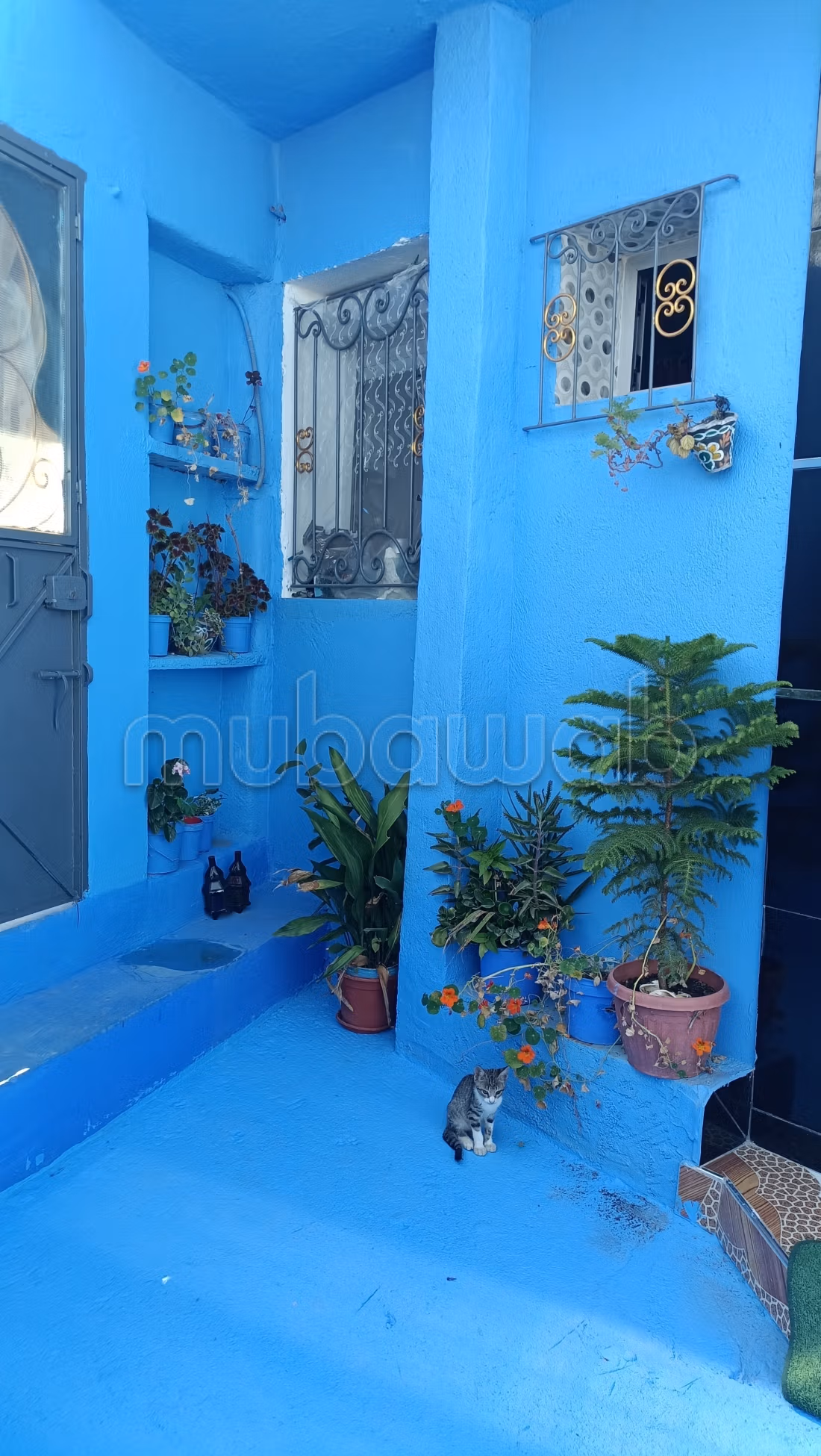 Appartamento in affitto a Chefchaouen. 2 camere accoglienti. Posti auto e un bel giardino