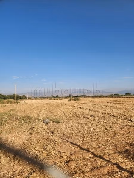 Grond van 0,5 hectare te koop – Amzrou / Sidi