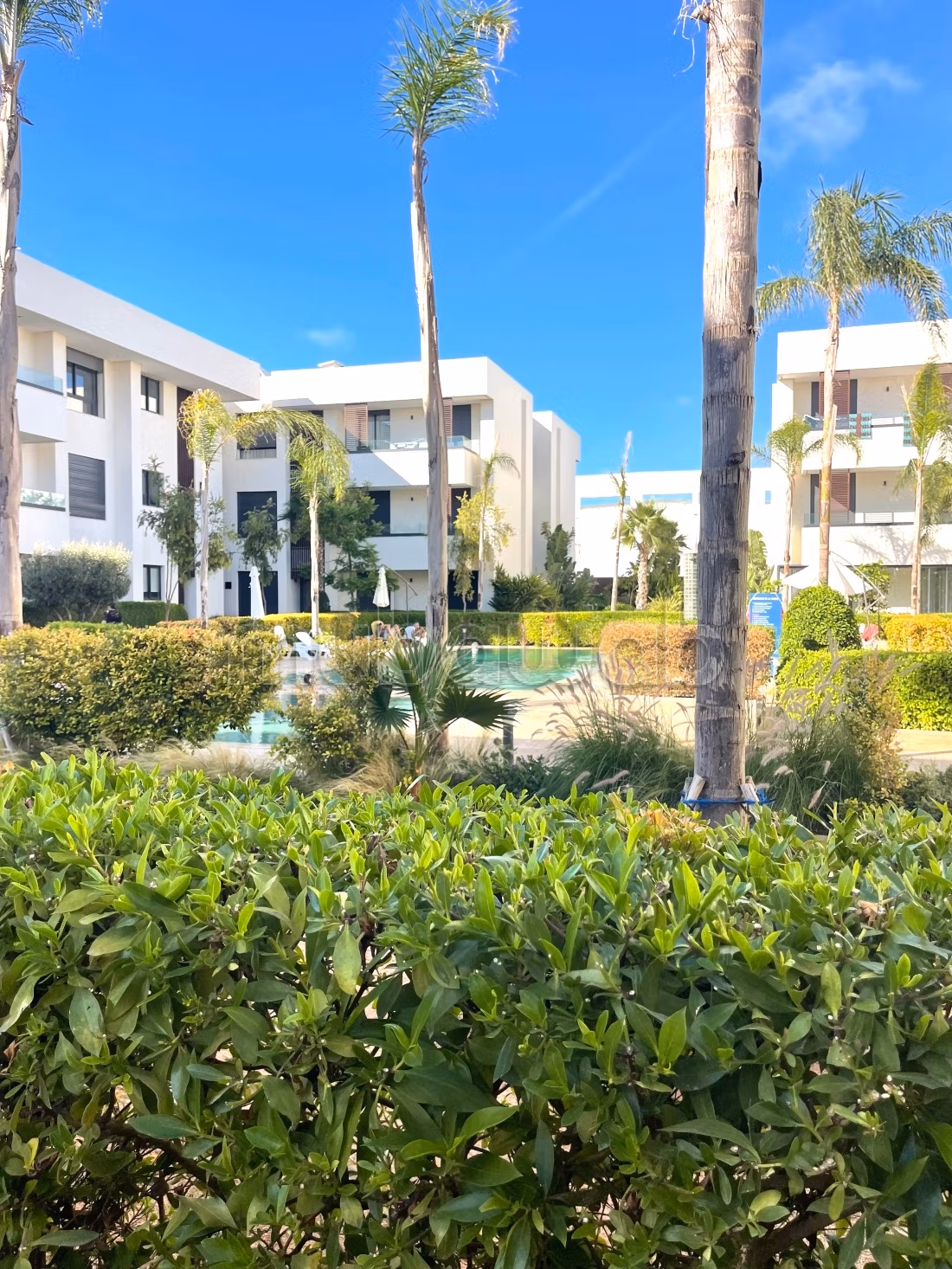 Très bel appartement collé à Leon africain